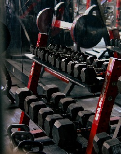 Bars Calistenics Gym